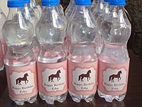 Vintage Pony Birthday theme Water bottle wrappers